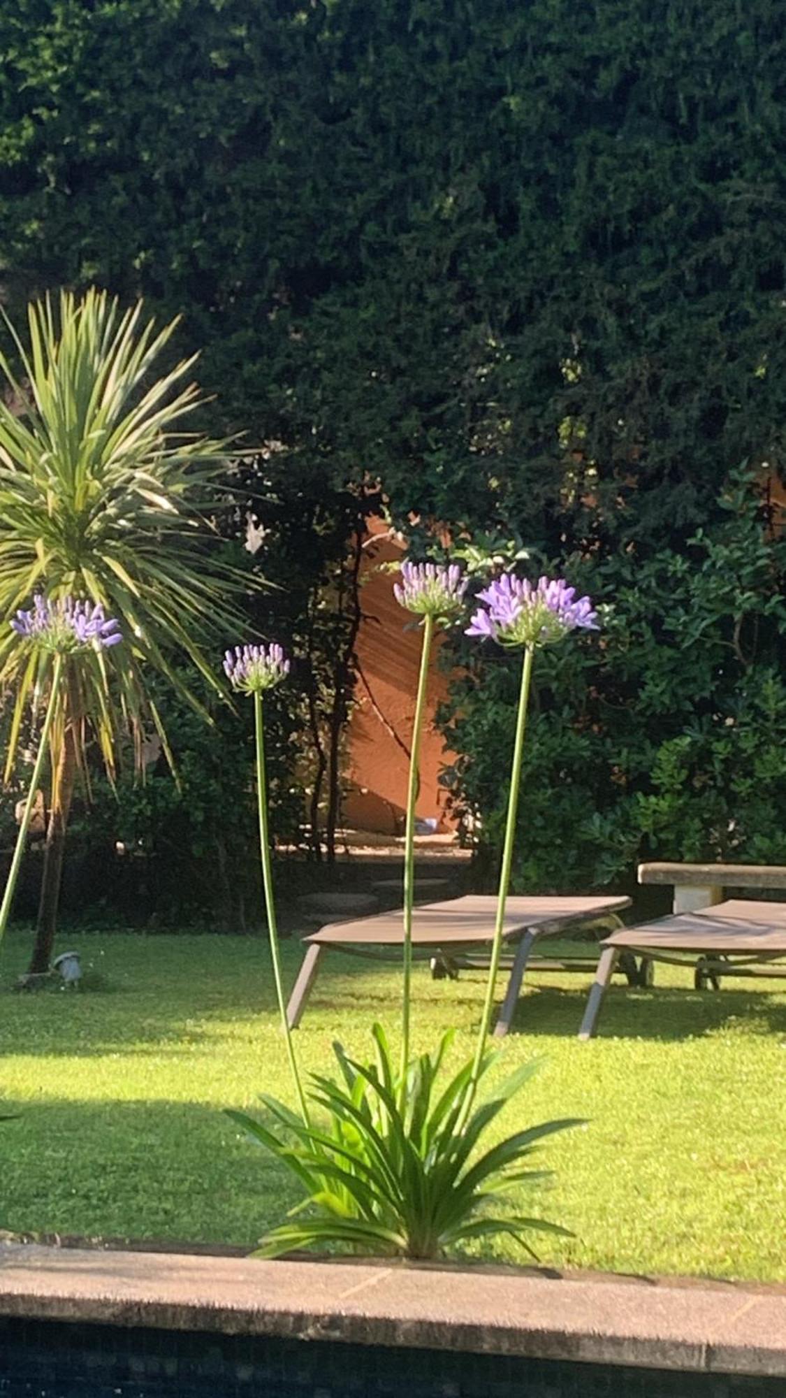 La Demeure Bed & Breakfast Eyguières Eksteriør bilde
